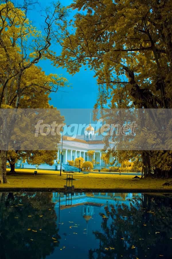 Fotografer.net - Galeri: Istana Bogor