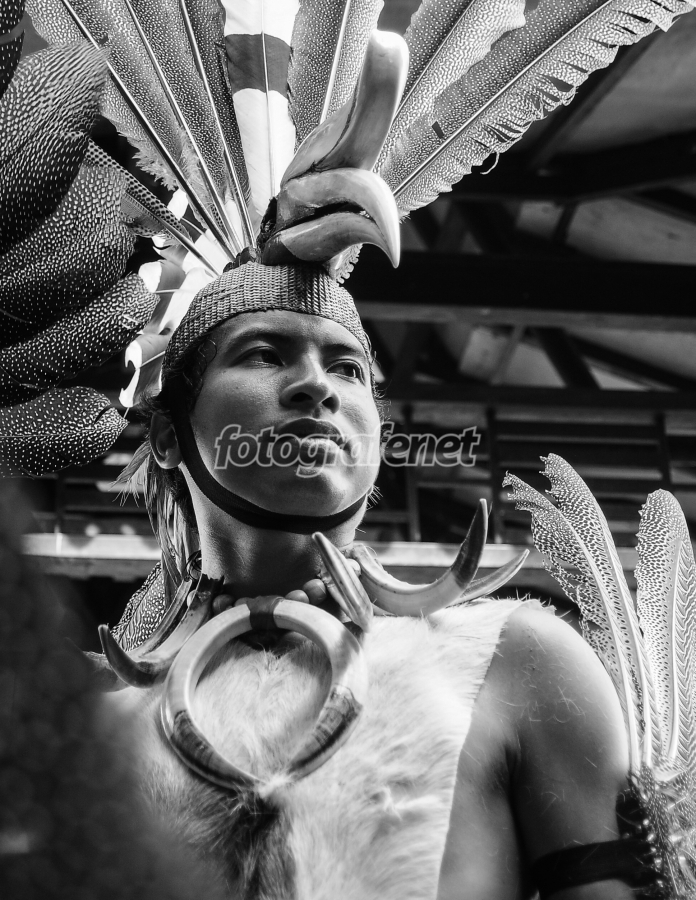 Fotografer.net - Galeri: Suku Adat Dayak Kalimantan